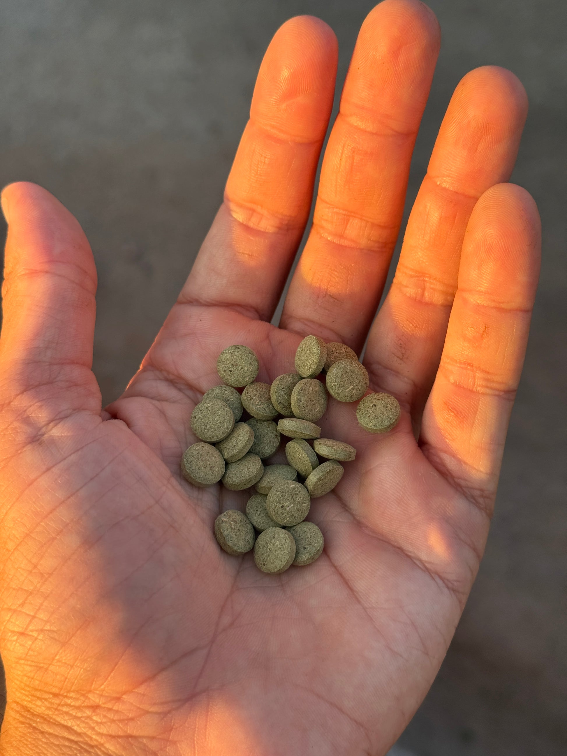 plantmatter sample