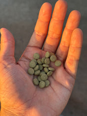 plantmatter sample